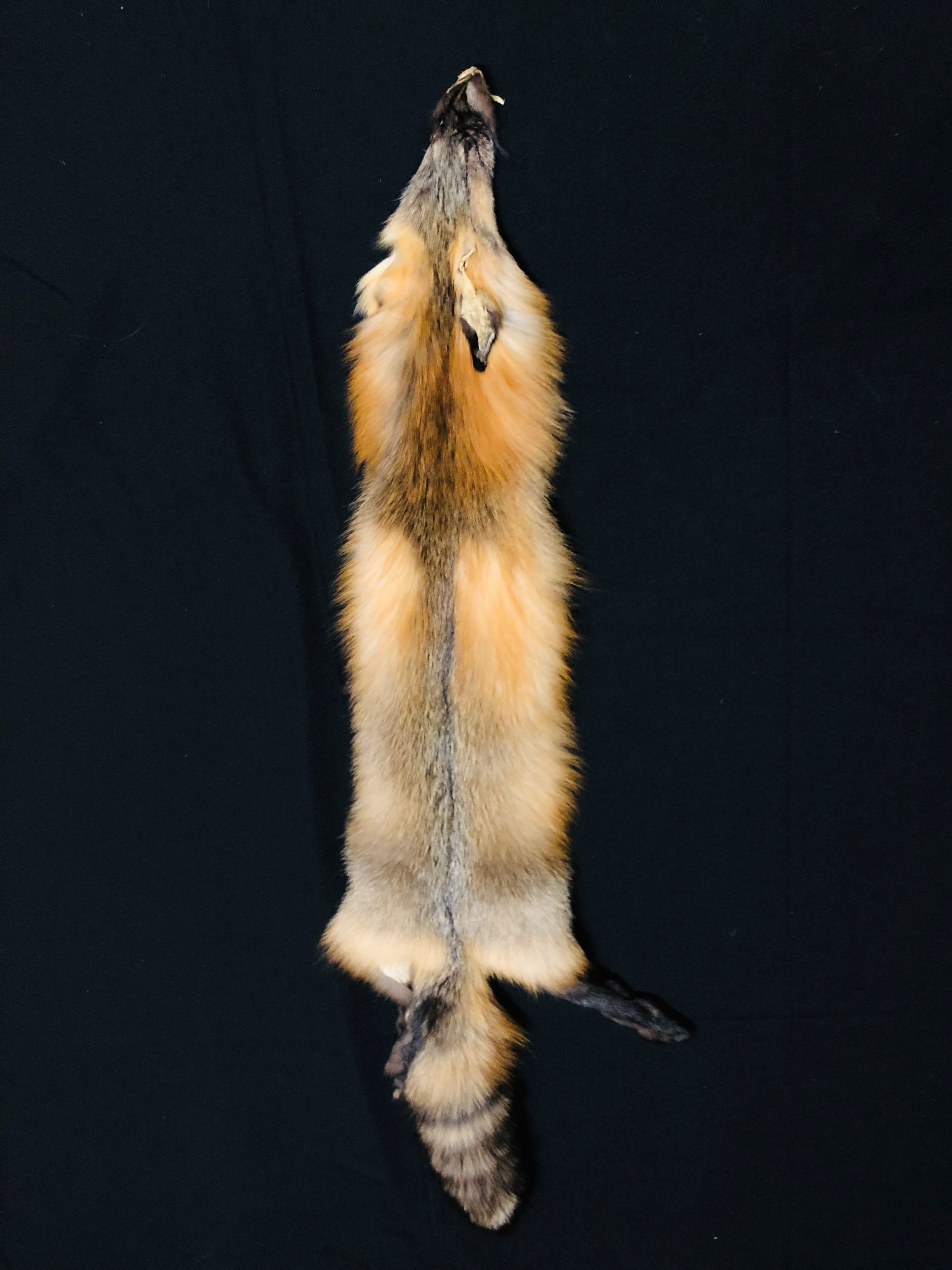 Winter Beautiful Tanned Wild Cross Fox silky “Heavy Fur Imperfect crossfximp 