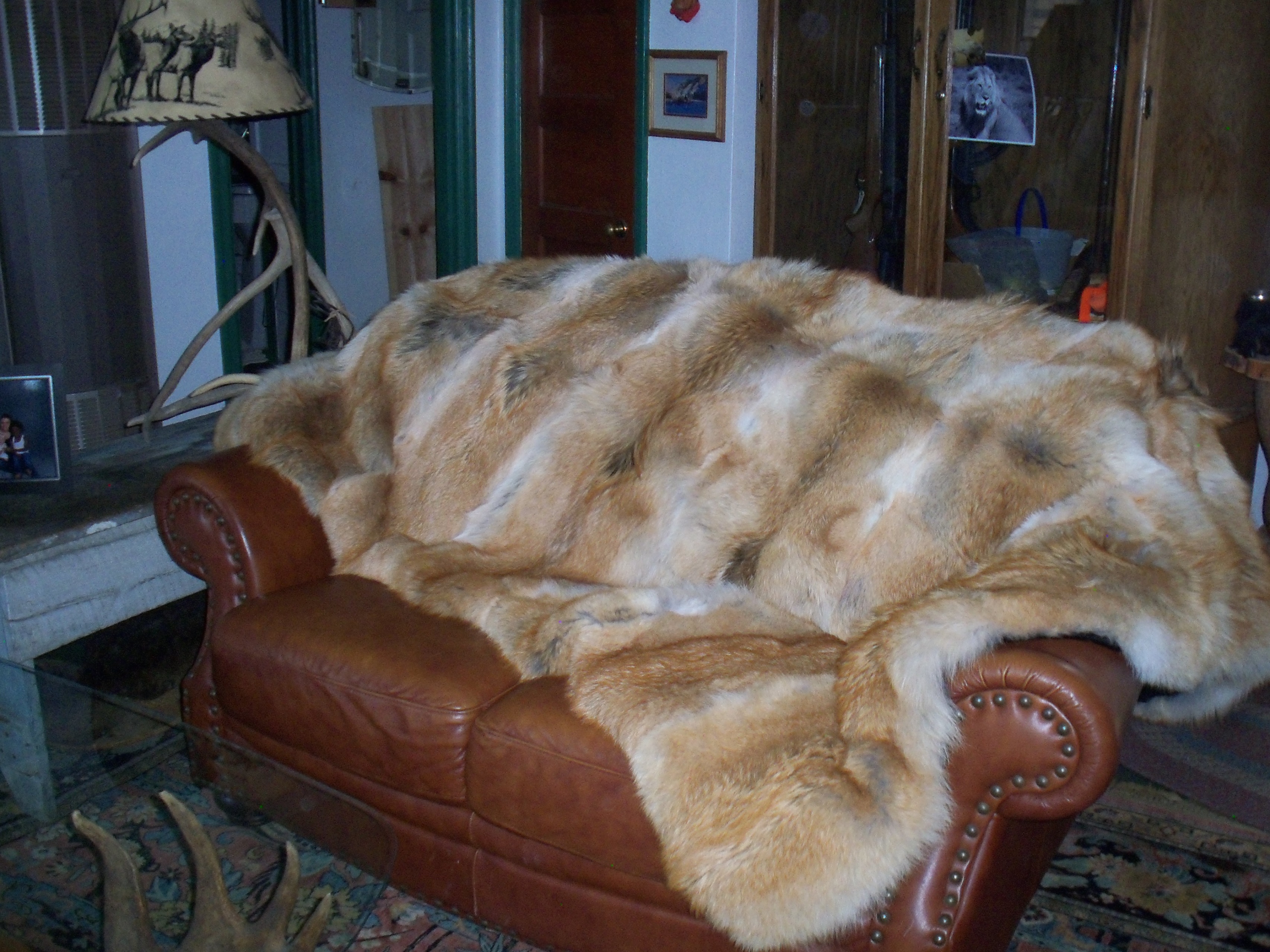 Double Face Coyote  Real Fur Throw - Blanket 