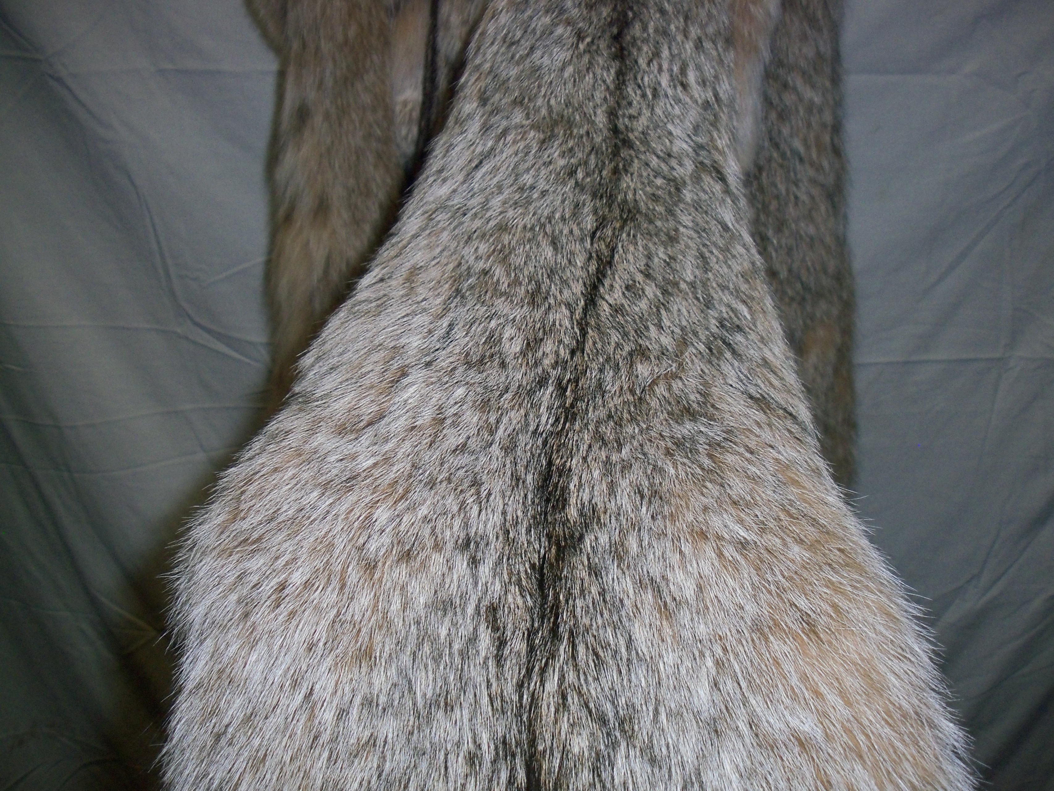 Trublu supply Real Tanned Canadian Lynx Pelt Hide Heavy Winter Furred  Taxidermy 40-43 (#1 Grade), TruBlu Supply
